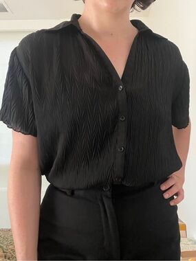 Vintage Sheer Black Pleated Button-Down Blouse